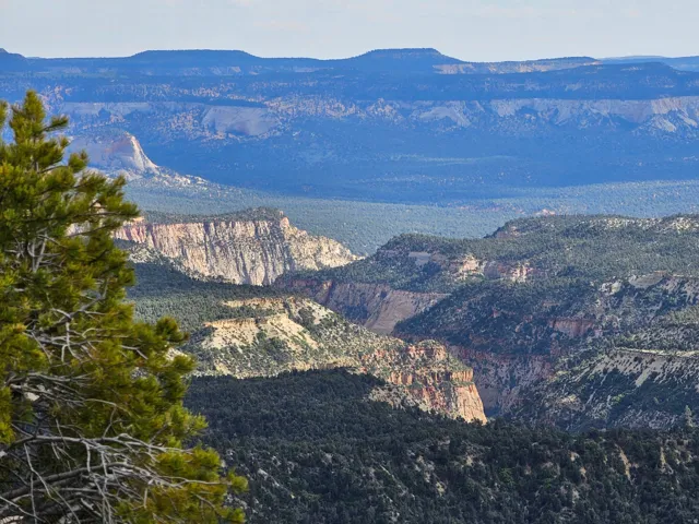 Expansive canyon landscape featuring variegated rock formations and dense evergreen tree coverage