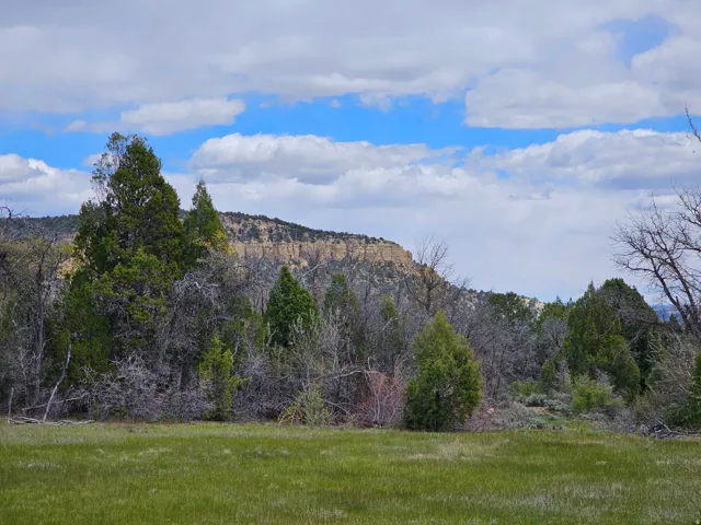 Expansive green field with natural landscaping and distant rock formations