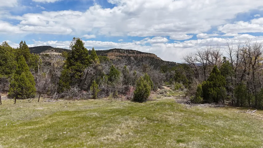 Expansive natural landscape featuring a grassy foreground, diverse mature trees, and distant ridgelines under a cloudy sky