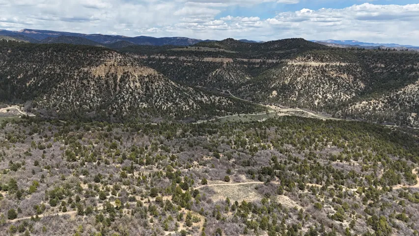Expansive natural landscape featuring rolling hills and abundant evergreen foliage