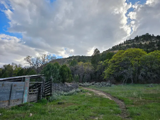 Expansive natural landscape featuring rolling hills and abundant trees