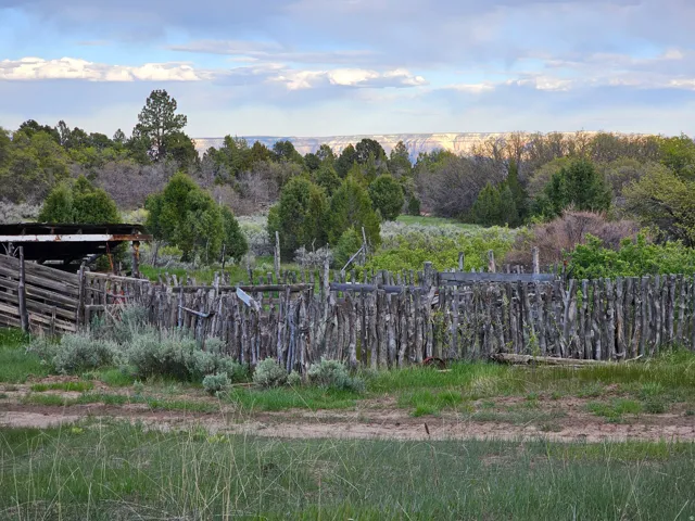 Rustic timber fence structure with a backdrop of mature trees and distant geological formations