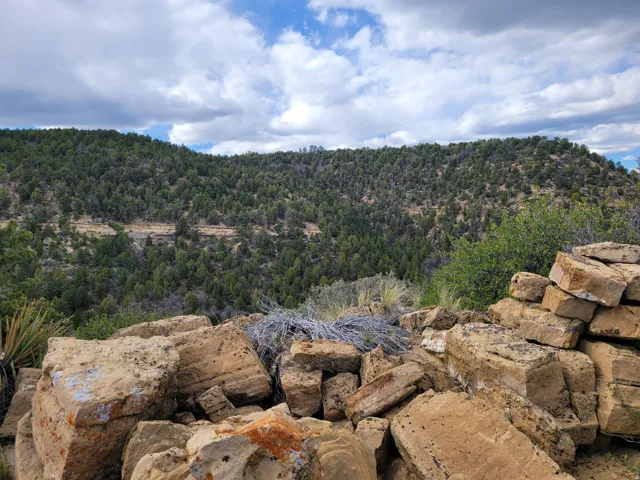 Natural rock formations and diverse evergreen foliage create a private, expansive outdoor environment