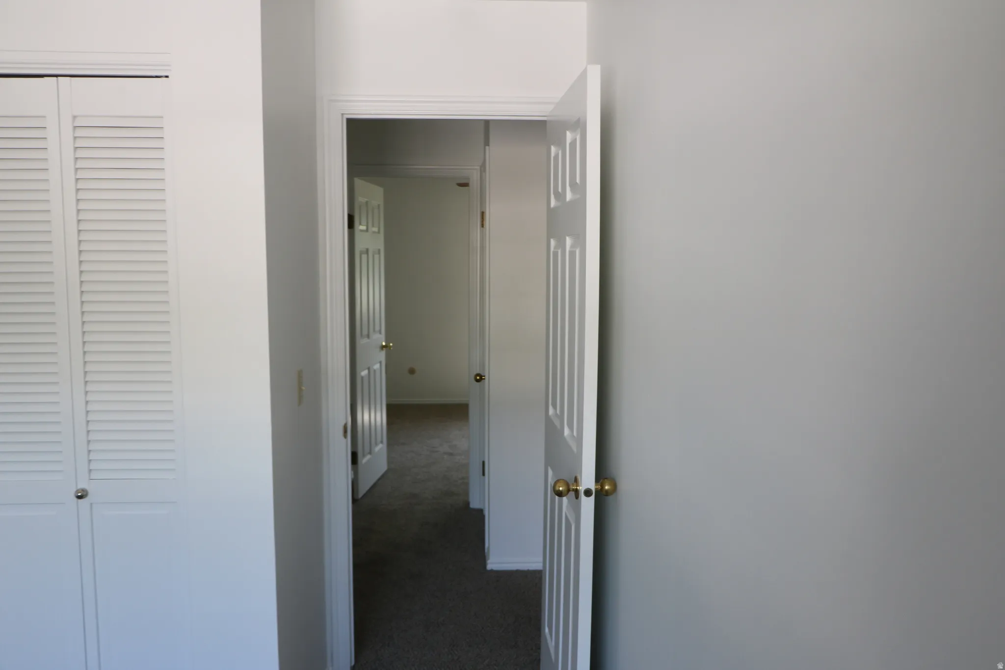 Hallway featuring a paneled interior door with brass hardware, neutral wall paint, and carpet flooring