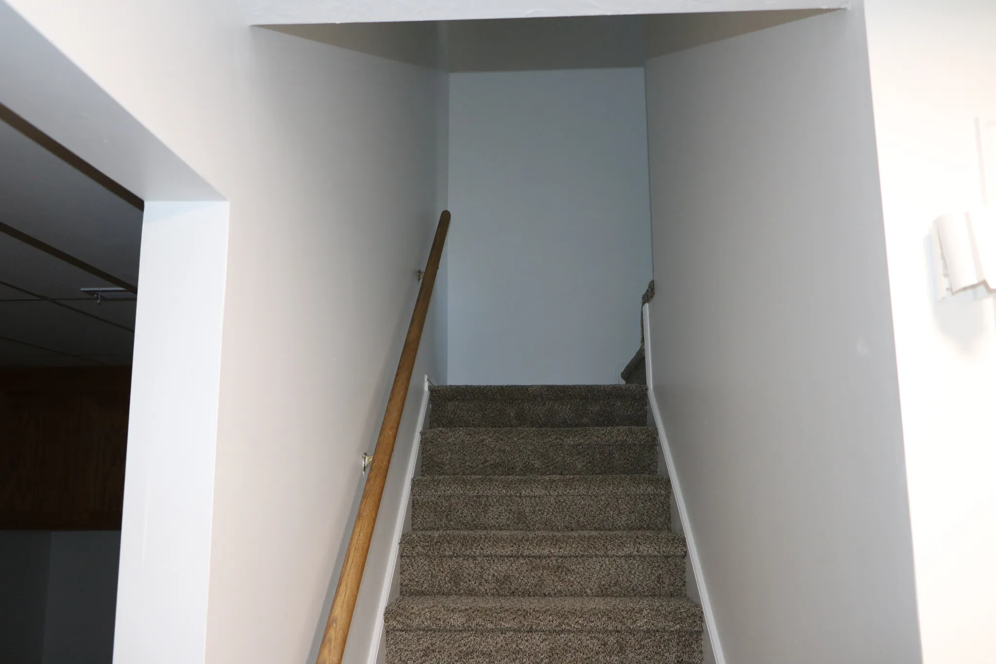 Carpeted staircase featuring a light wood-finish handrail and painted walls