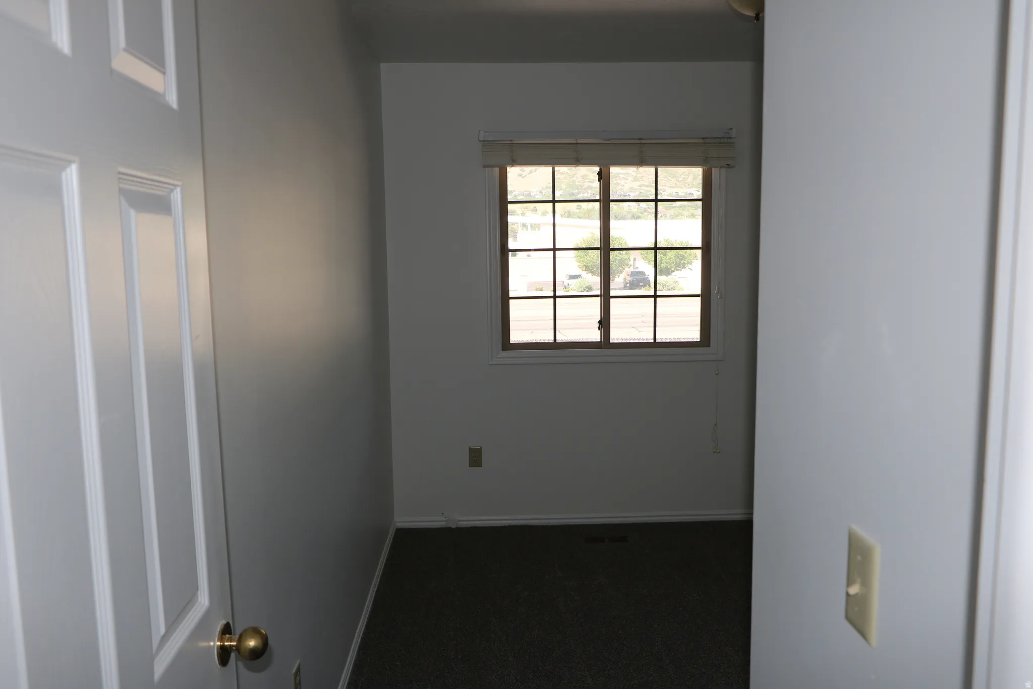 Room featuring a grid-paned window with horizontal blinds, light gray wall paint, and dark carpeting
