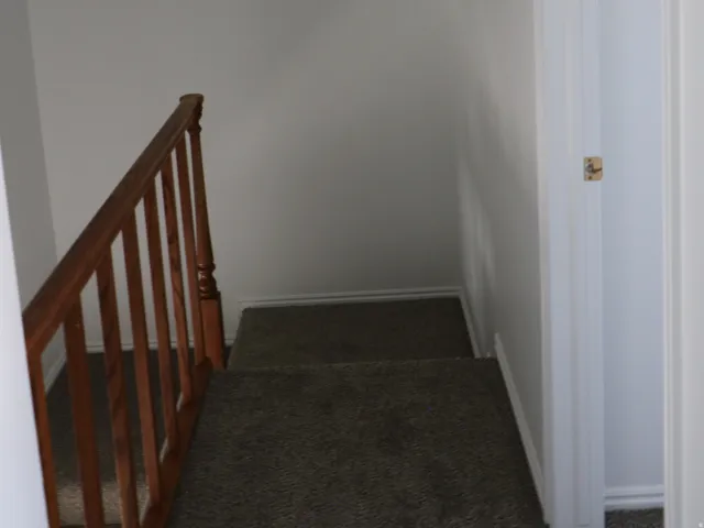 Carpeted staircase featuring a wood handrail with turned balusters