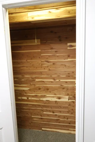 Cedar-lined closet featuring horizontal wood planks, a pull-chain light fixture, and carpeted flooring