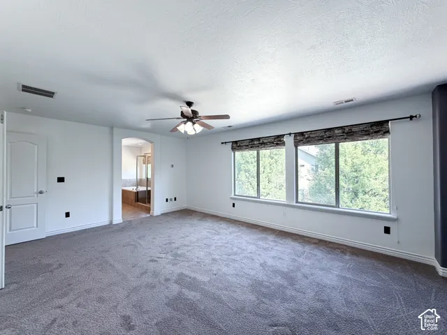 Primary suite Spacious carpeted room featuring a ceiling fan, two large windows with valances, and an arched entry to a bathroom with a built-in tub