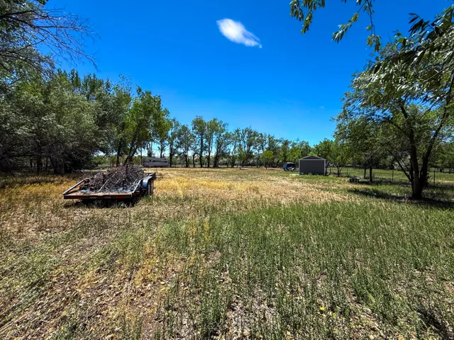 Expansive open land with varied vegetation, bordered by mature trees