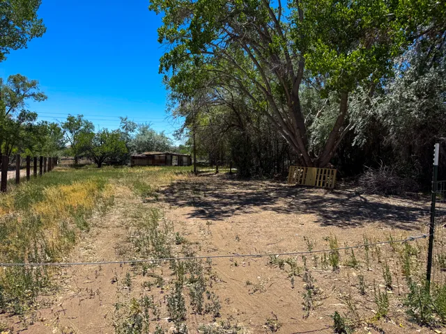Expansive undeveloped land featuring mature trees and a partial wood-post fence