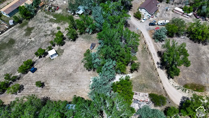 Expansive property featuring mature trees, a detached building, and a private dirt road