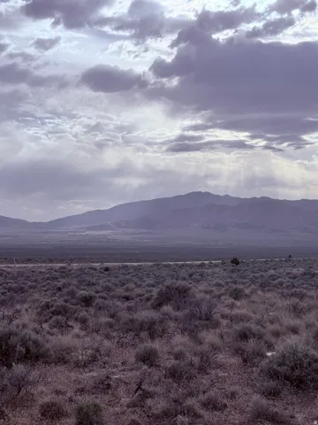 Expansive open terrain featuring natural vegetation
