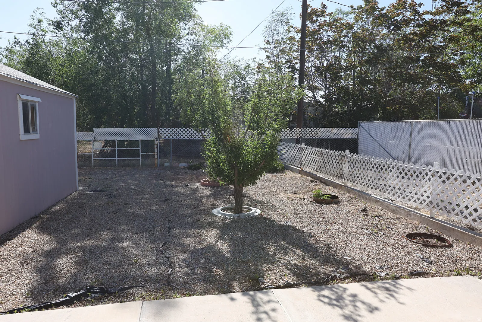 Expansive gravel yard with mature apple tree and white lattice fencing