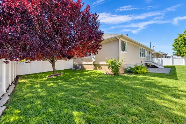 Expansive green lawn featuring a mature tree, white privacy fence, and a concrete patio with exterior stairs