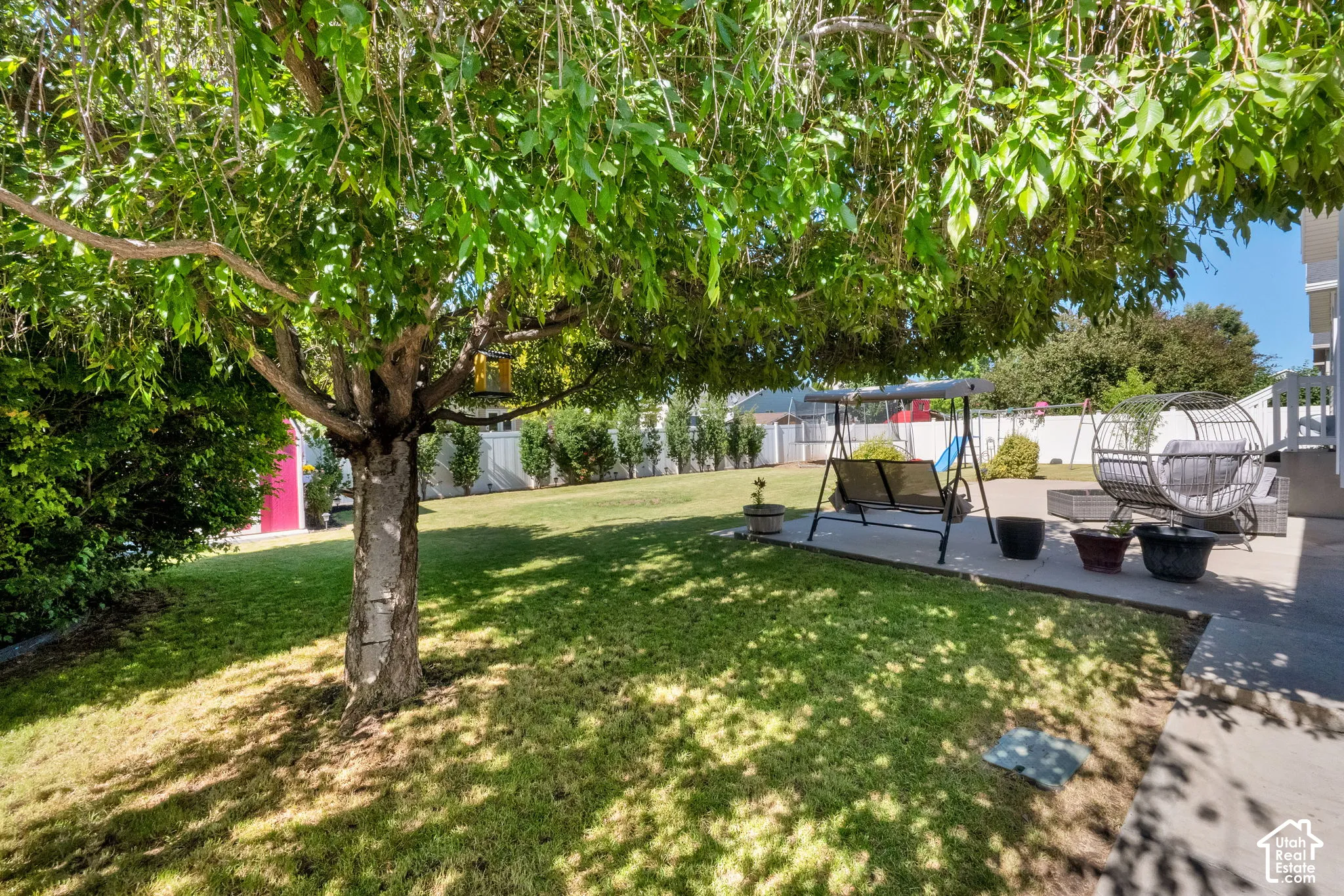 Spacious backyard featuring a large tree, expansive lawn, and concrete patio
