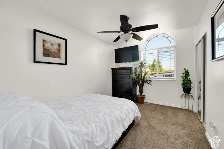 Arched window with horizontal blinds, ceiling fan with light fixture, mirrored closet doors, and neutral carpet flooring