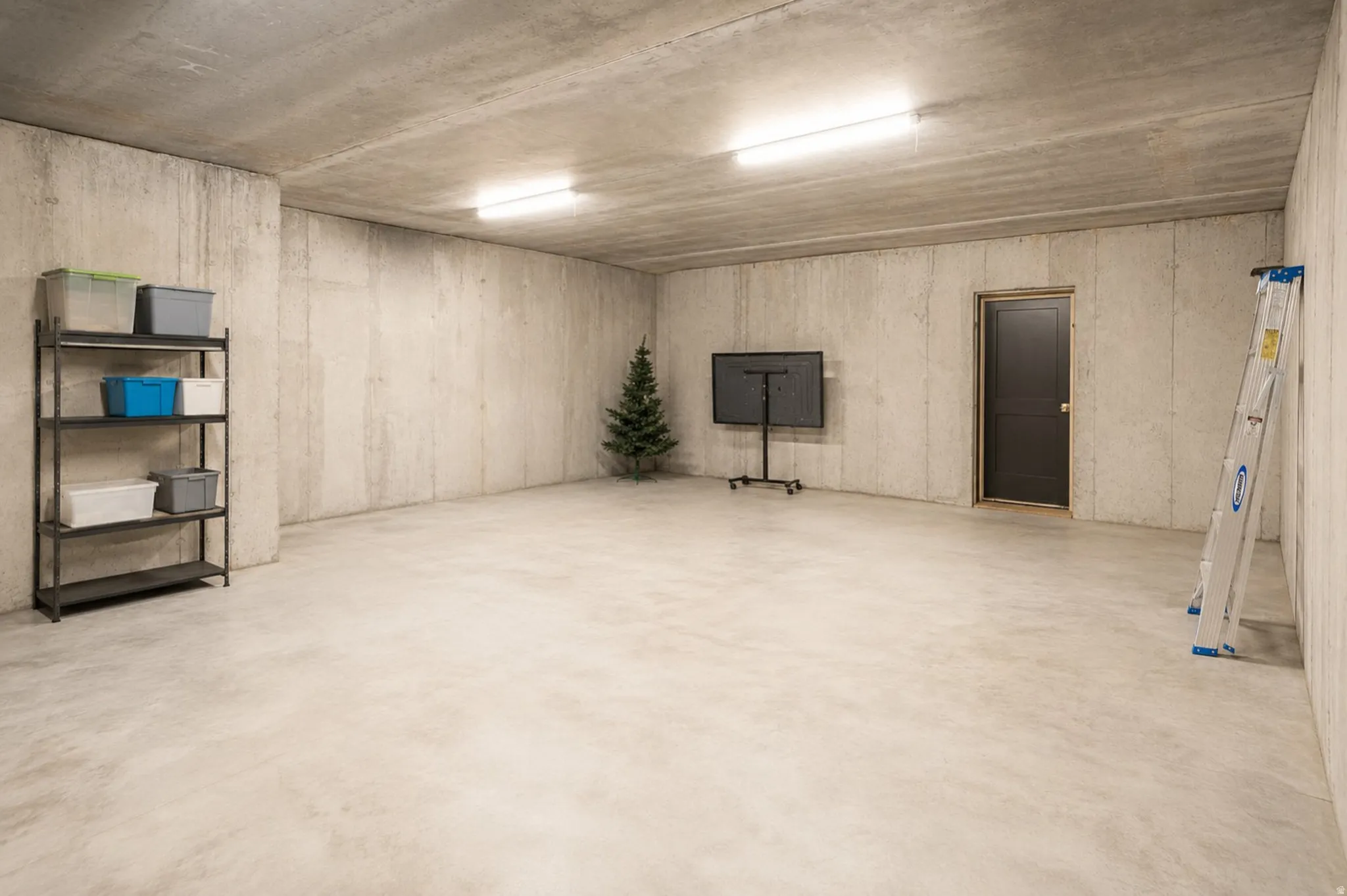 Spacious concrete-walled room featuring a smooth concrete floor, overhead strip lighting, and a dark paneled door