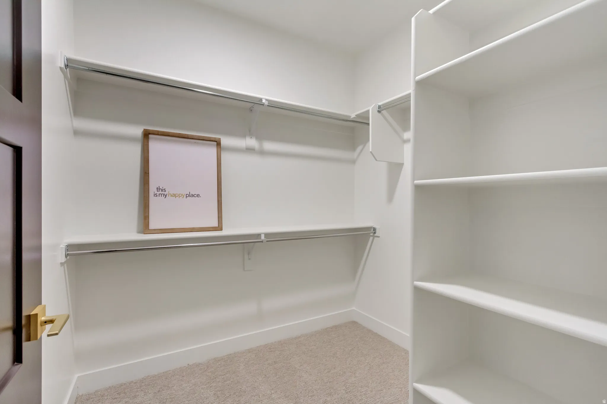Walk-in closet with ample storage solutions, featuring built-in shelving, multiple hanging rods, light-toned carpeting, and a dark wood door with a brass handle