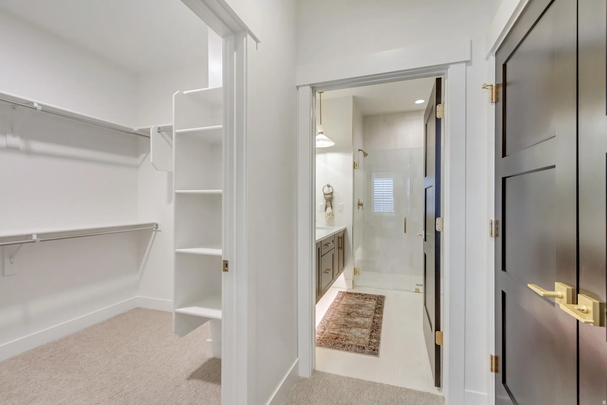 Walk-in closet with carpet flooring, built-in shelving, and hanging rods
