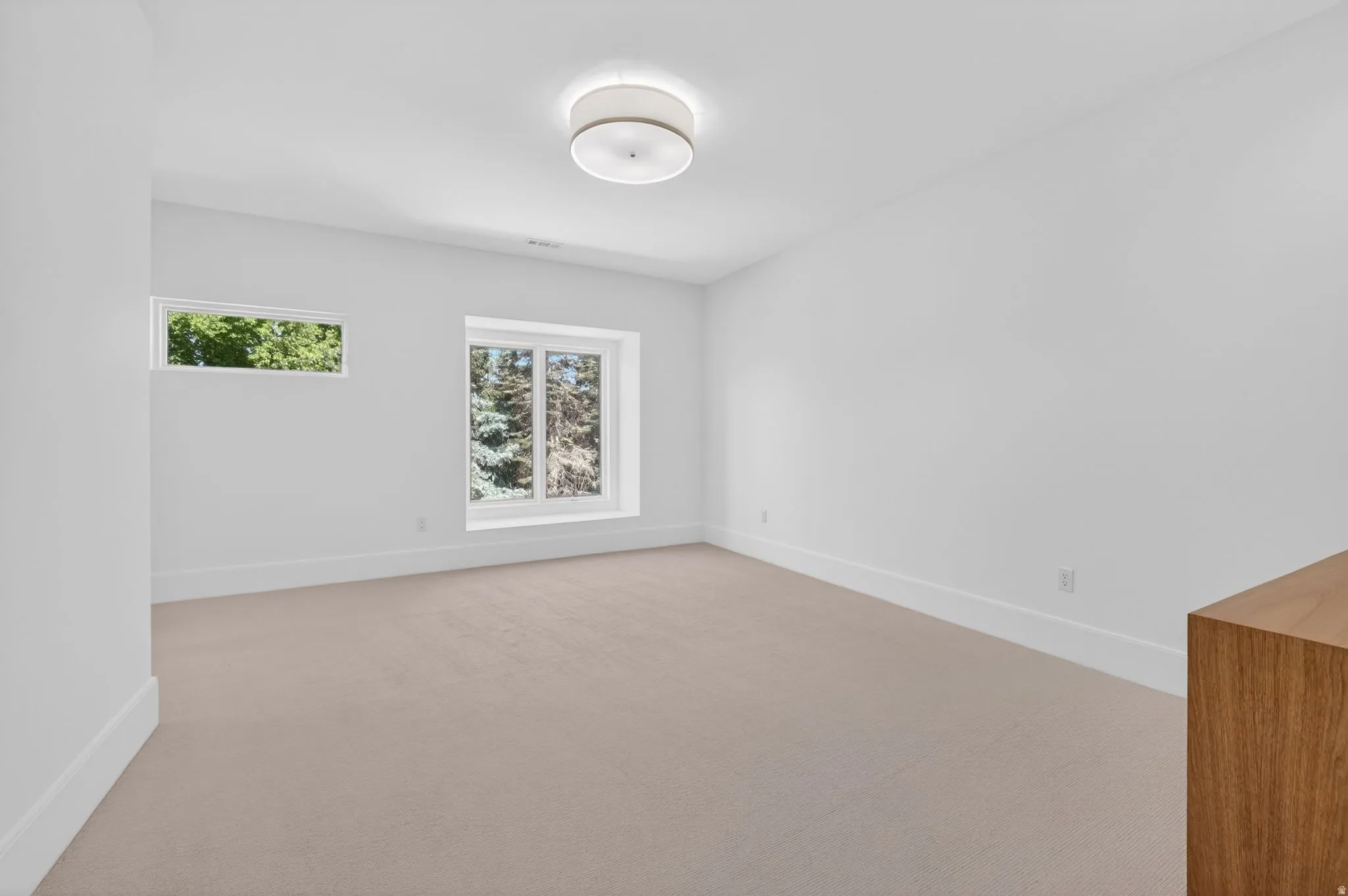 Bright room featuring neutral carpeting, a contemporary flush-mount ceiling light, and two distinct windows providing natural light