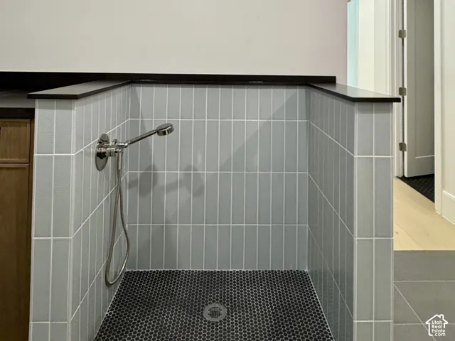 Dedicated pet wash featuring a tiled wash basin with a handheld shower fixture