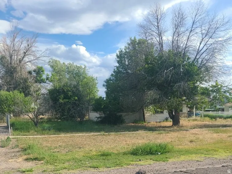 Expansive lot with mature trees and a clear sky backdrop