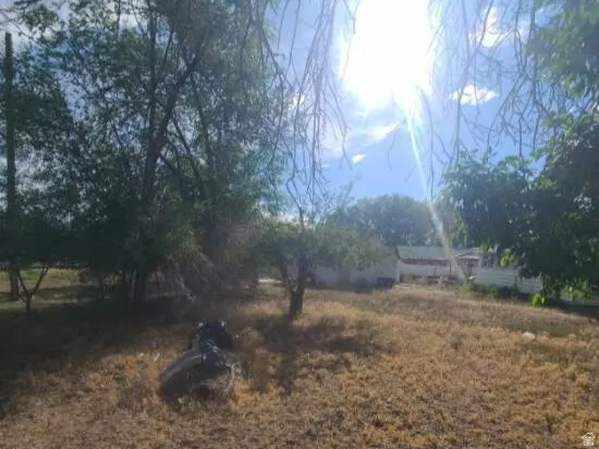 Expansive outdoor area featuring natural ground cover, mature trees, and partial fencing