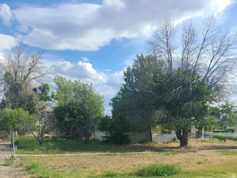Expansive lot featuring mature trees and established vegetation