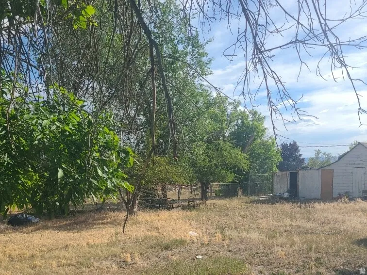 Expansive yard featuring mature trees and established perimeter fencing
