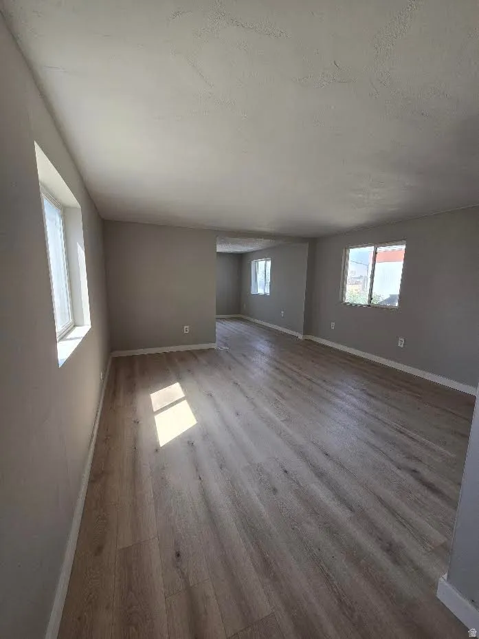 Spacious interior room featuring light wood-finish flooring, neutral paint, multiple windows, and white baseboards