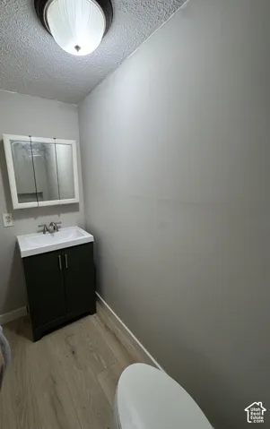 Dark-finish vanity with white integrated sink, polished hardware, white framed medicine cabinet, flush-mount lighting, and wood-finish flooring