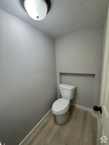 Full bathroom featuring wood-finish flooring, a white porcelain toilet, recessed wall niche, and flush-mount dome lighting