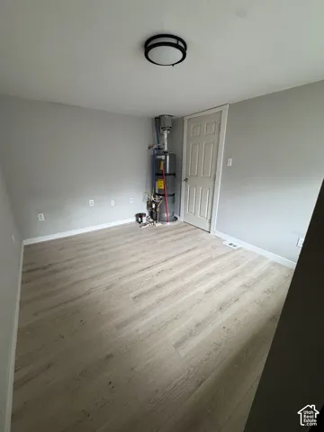 Interior space featuring wood-finish flooring, neutral wall paint, a six-panel door, and a central flush-mount ceiling light fixture