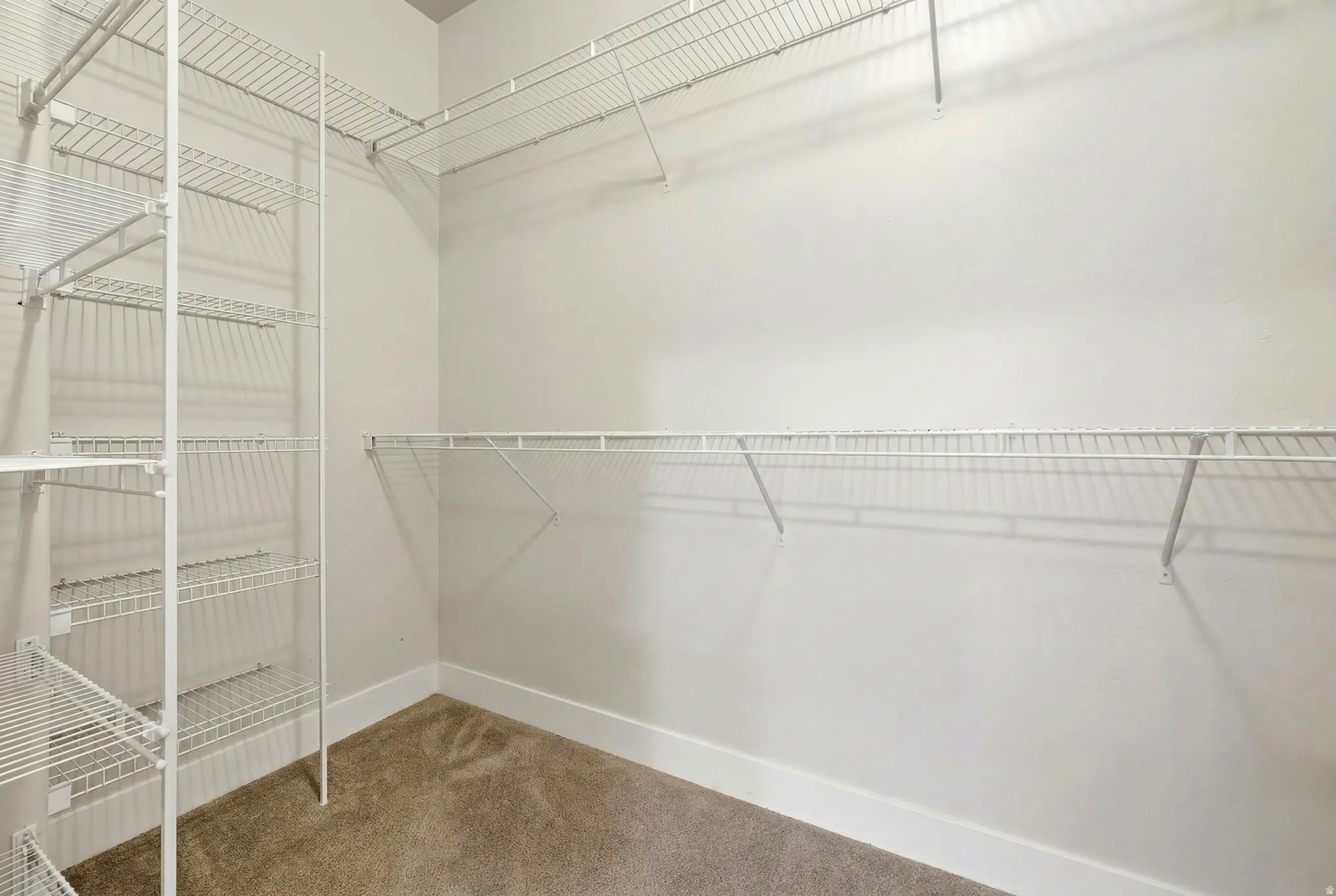 Walk-in closet featuring built-in wire shelving, wire hanging rods, light gray wall paint, white trim, and carpet flooring