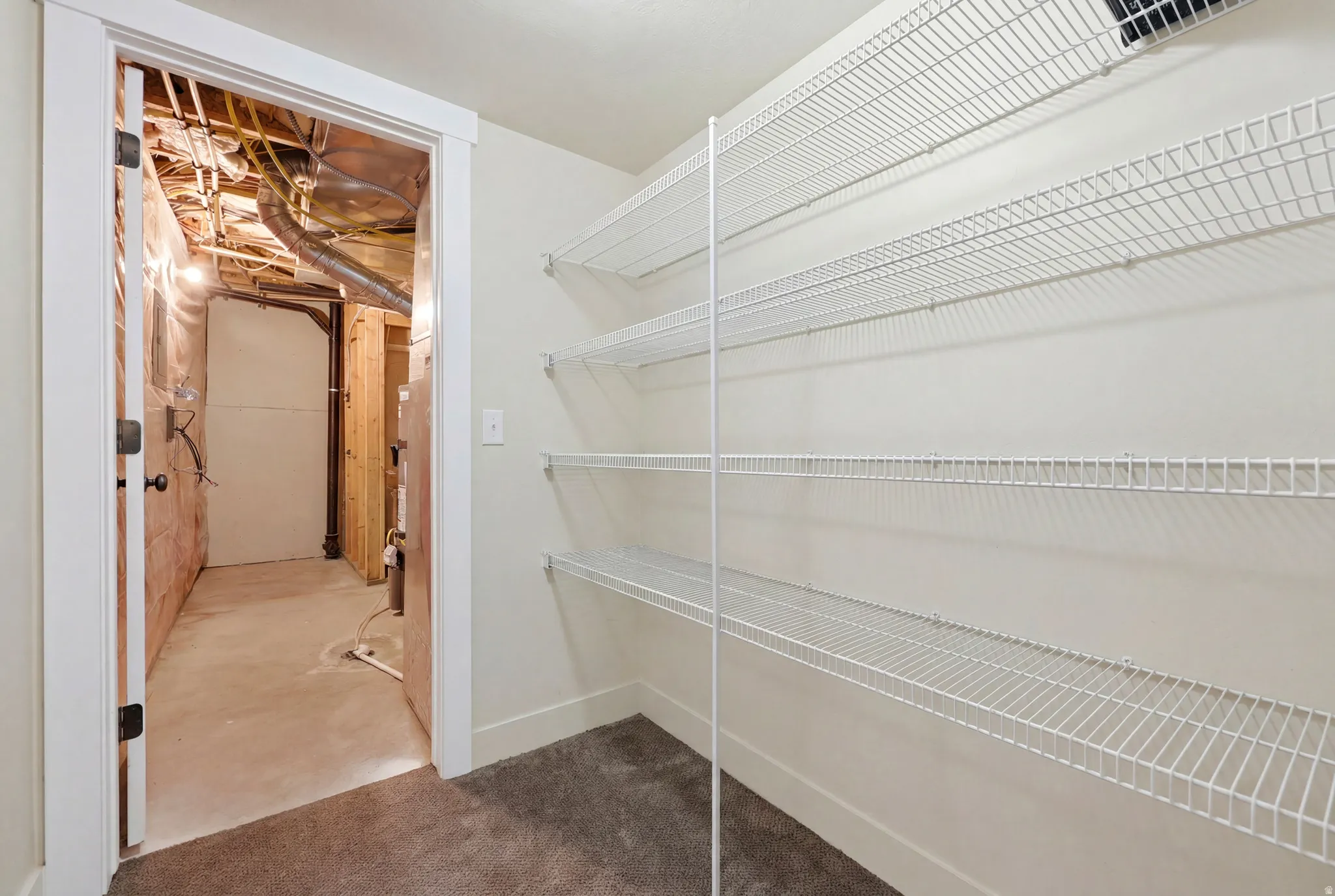 Carpeted storage area featuring built-in wire shelving
