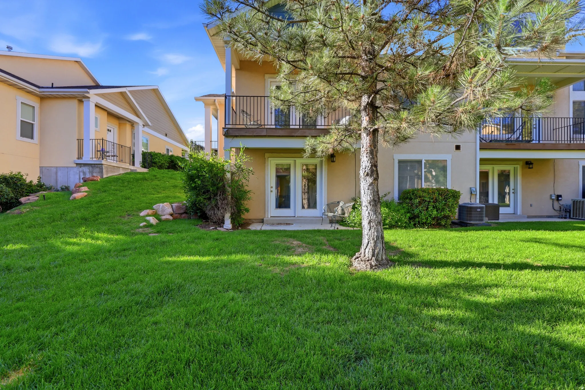 Expansive rear yard featuring a manicured lawn, established pine tree, and mature shrubs
