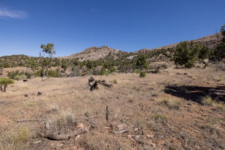 4 La Sal Pass Spur, Moab, Utah 84532