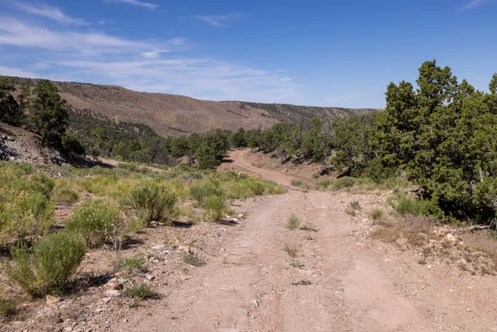 4 La Sal Pass Spur, Moab, Utah 84532