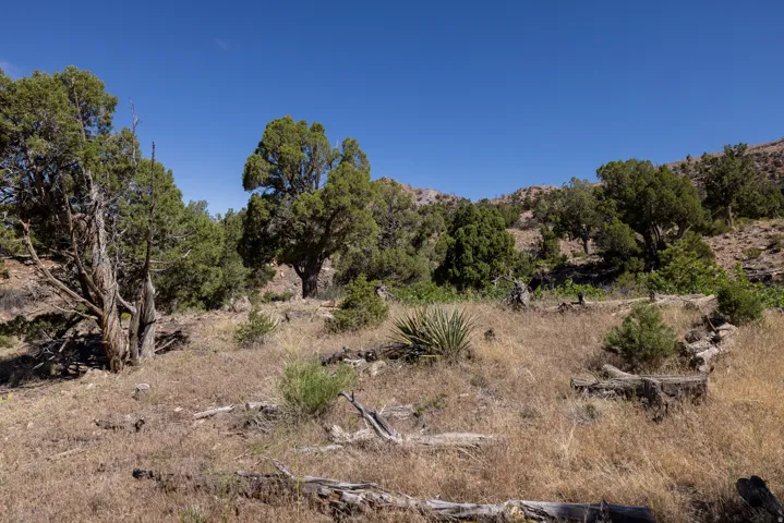 4 La Sal Pass Spur, Moab, Utah 84532