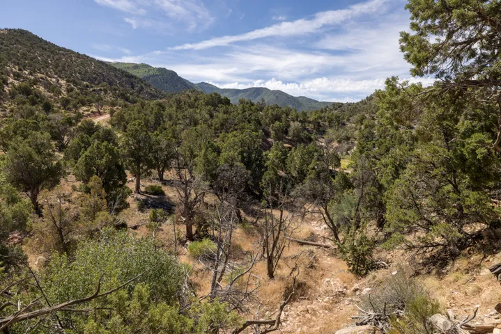 4 La Sal Pass Spur, Moab, Utah 84532