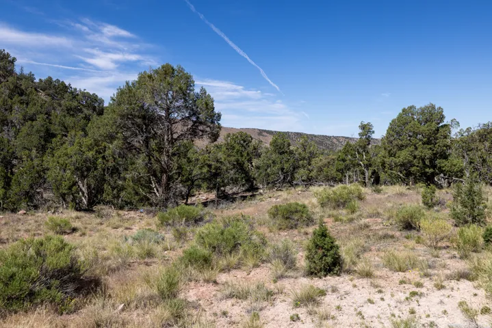 4 La Sal Pass Spur, Moab, Utah 84532