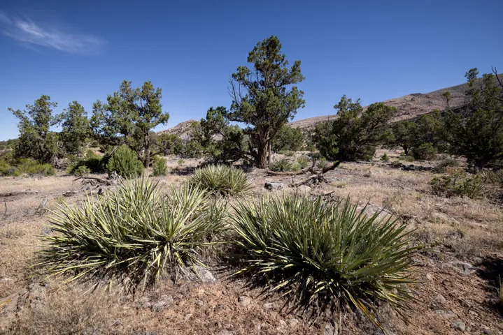 4 La Sal Pass Spur, Moab, Utah 84532