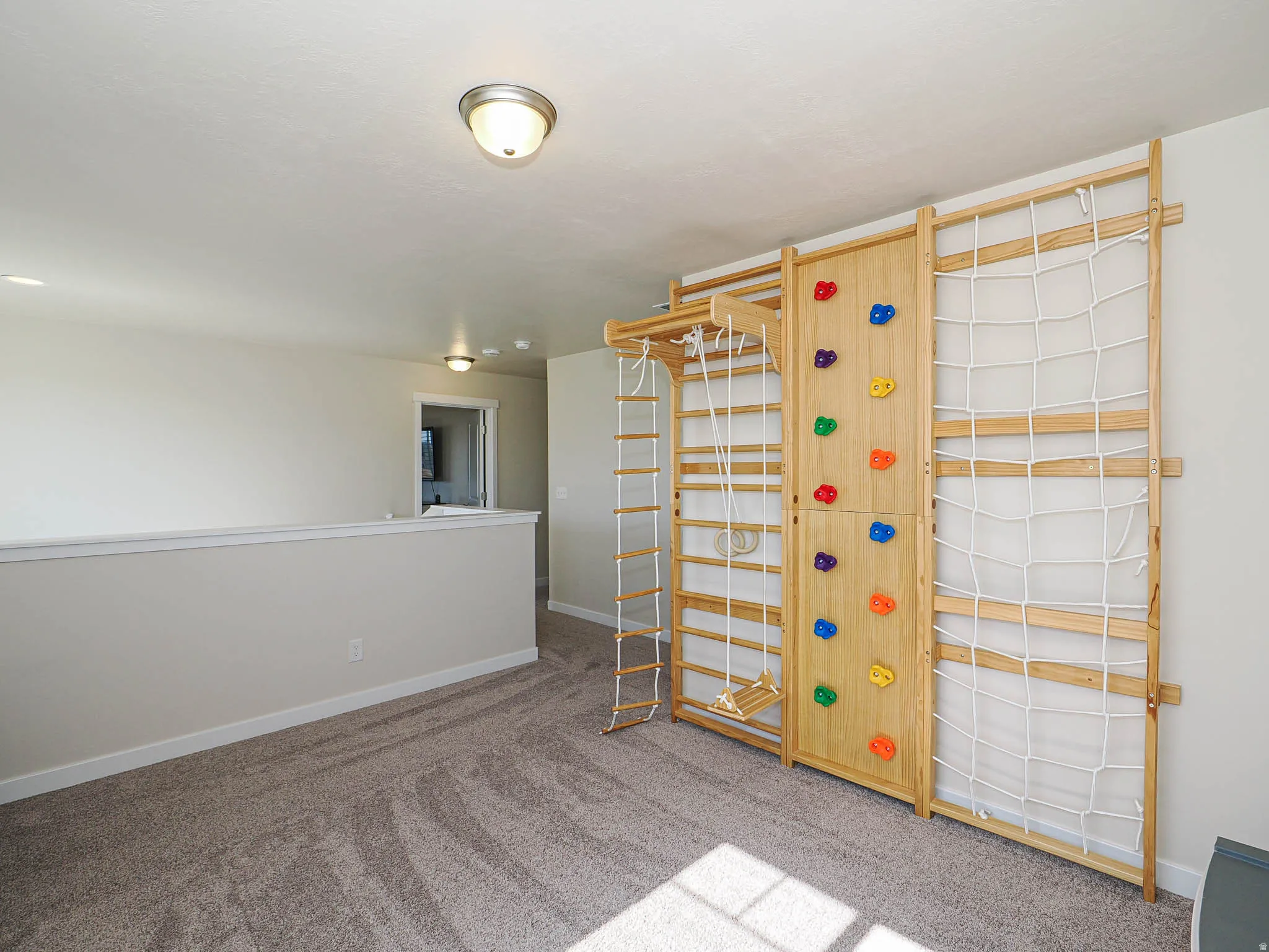Expansive bonus room featuring a built-in climbing wall with colorful holds, a rope ladder, and swing