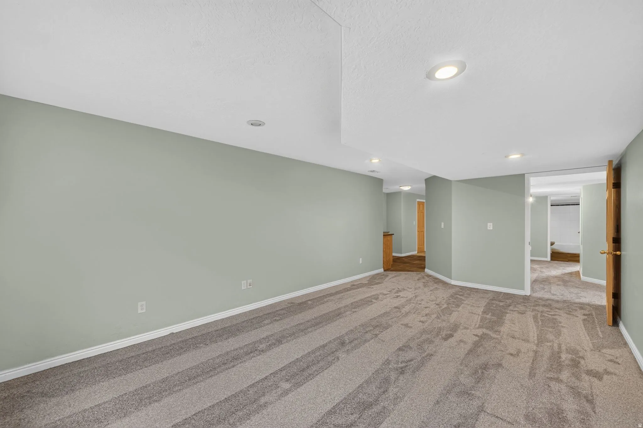 Spacious interior room with light green walls and plush patterned carpeting