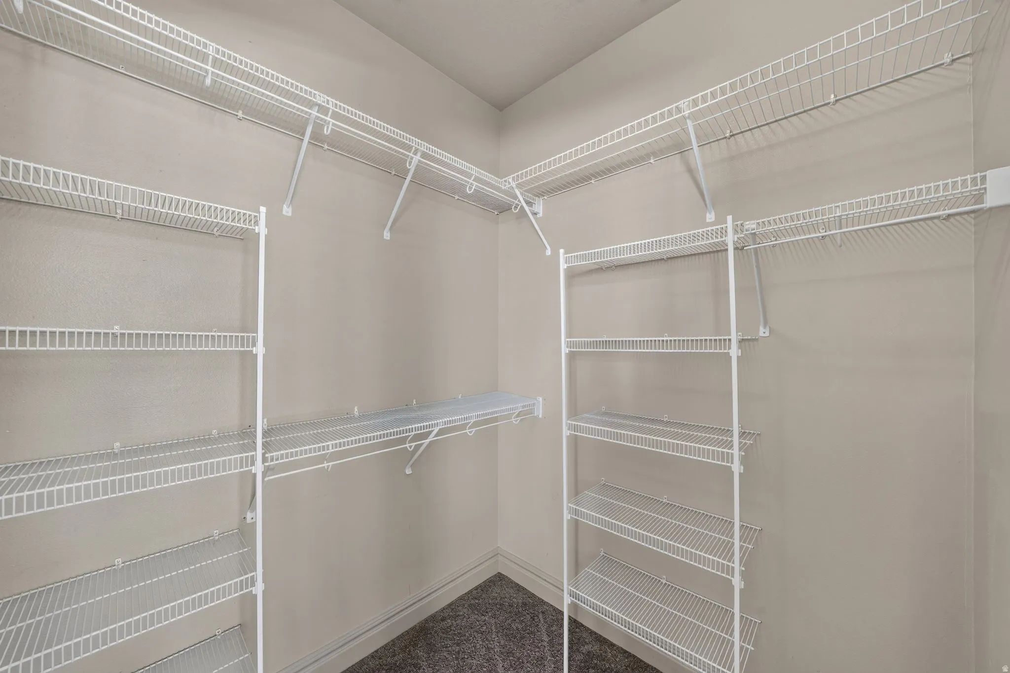 Walk-in closet featuring extensive wire shelving, wire hanging rods, and light gray wall paint