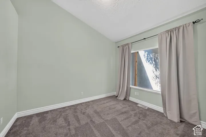 Spacious room featuring vaulted ceilings, light green walls, and plush dark gray carpeting