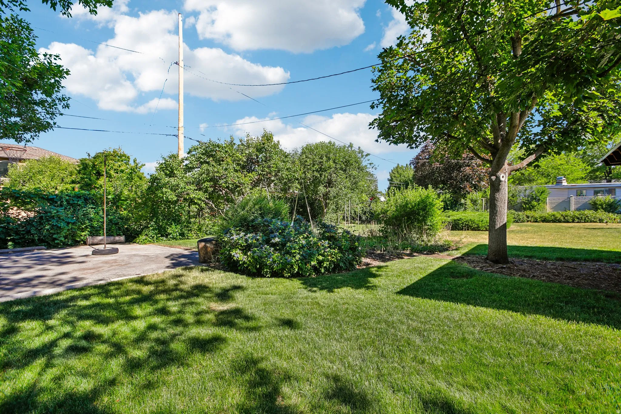 Yard