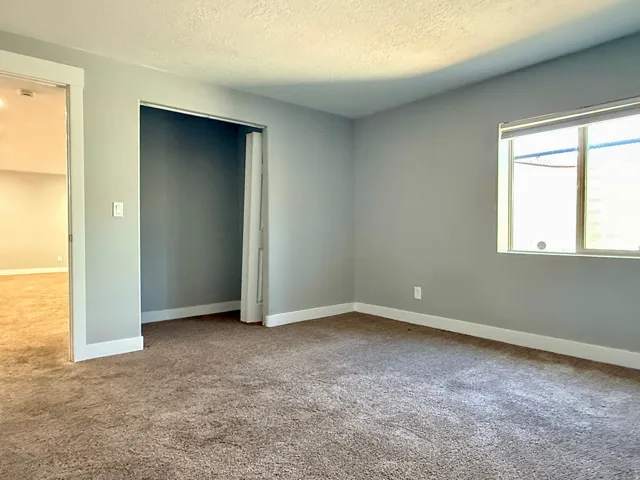 Plush carpeted room featuring a neutral gray wall palette and white trim