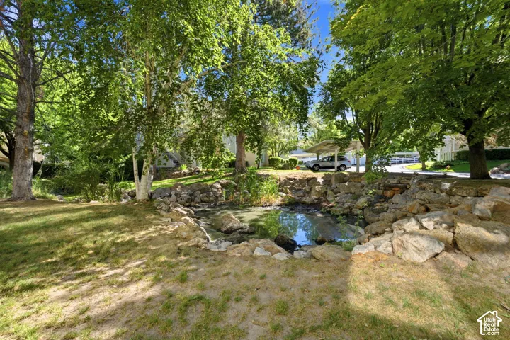 Yard